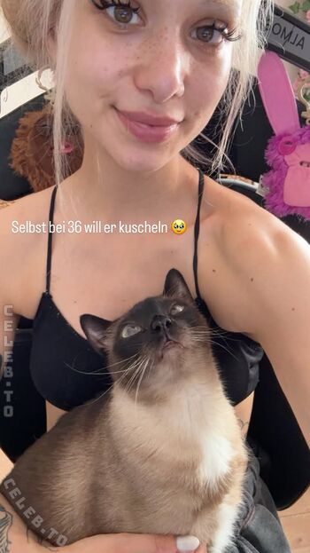 Full leaked Almostfeline private onlyfans photo