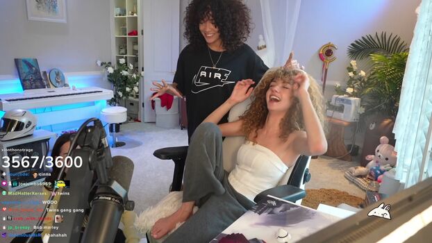 bonnierabbit