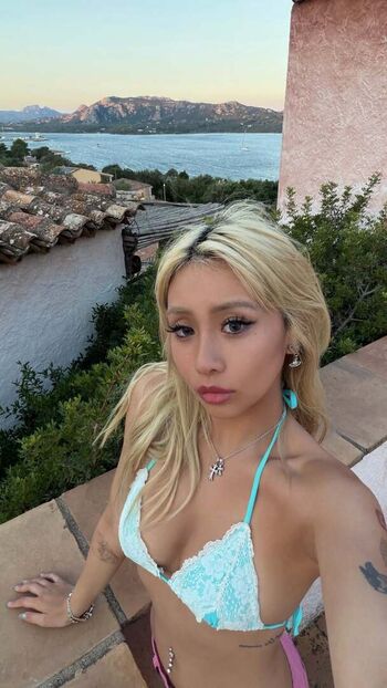 kittynobi