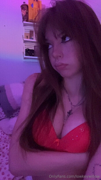 Full leaked Lowkeywillow private onlyfans photo