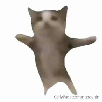 Full leaked Nanashin private onlyfans photo