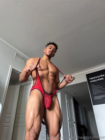 theshawnraymond