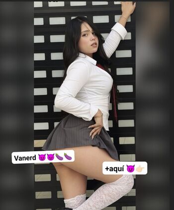 Vanerd