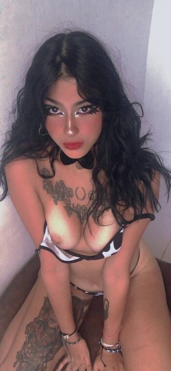 Venus_or13